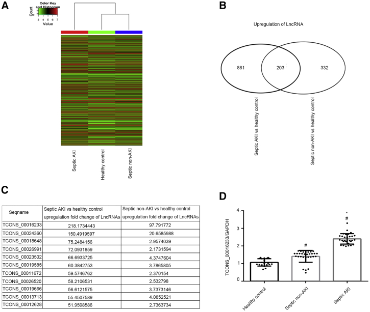 Figure 1