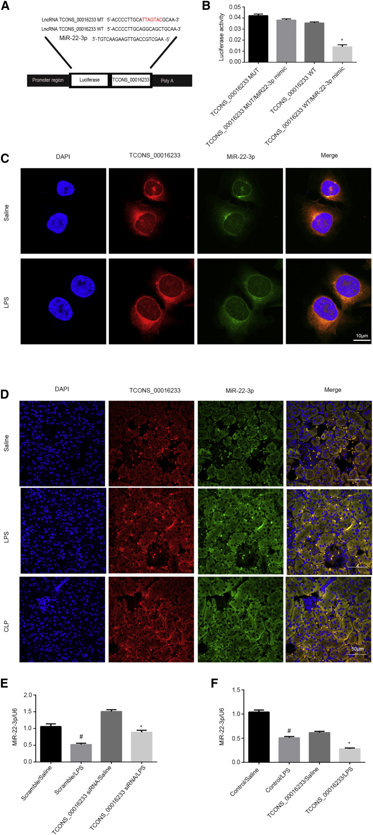 Figure 6