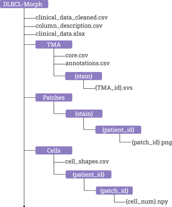 Fig. 4