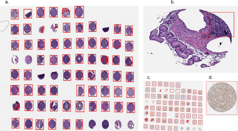 Fig. 2