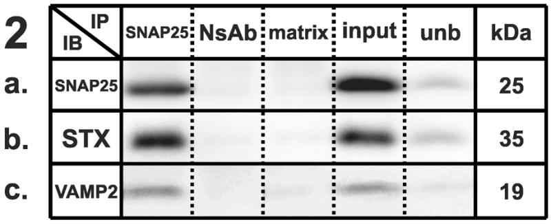 Figure 1–5 