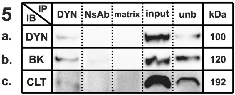 Figure 1–5 