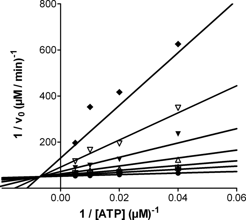 FIGURE 1.