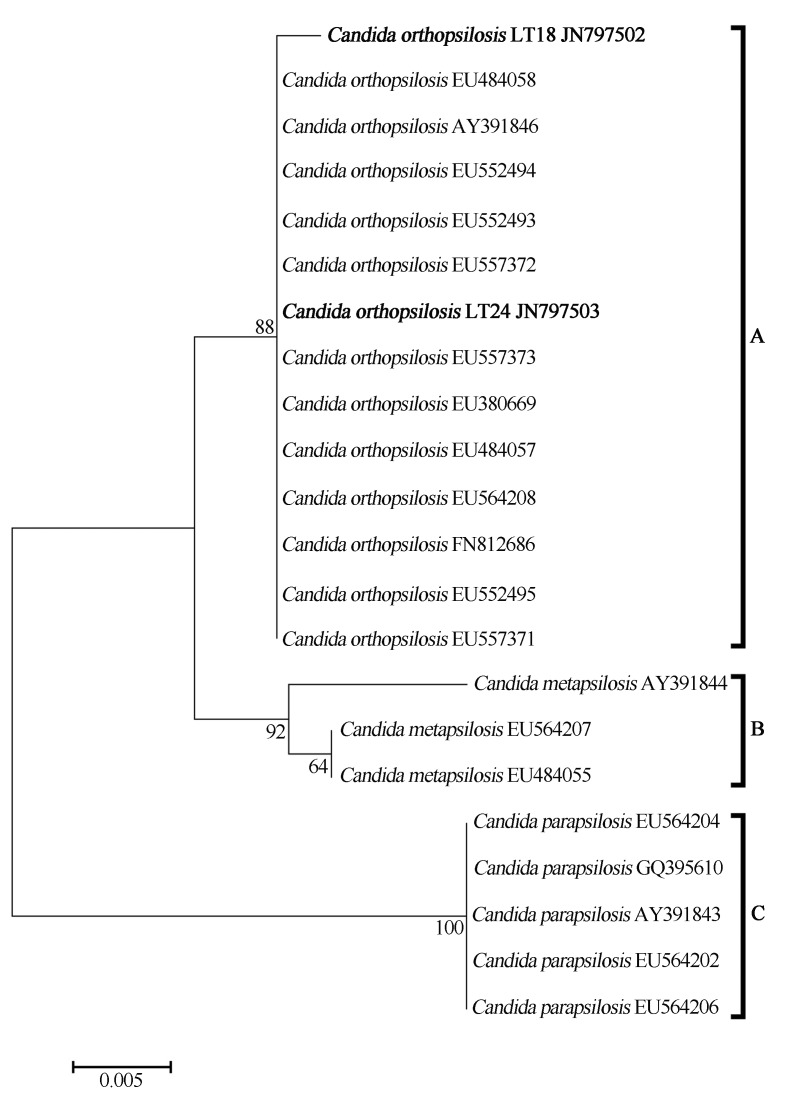 Figure 1