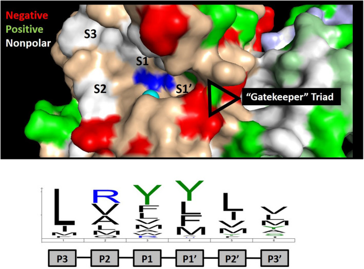 FIGURE 4