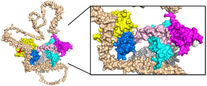 FIGURE 2