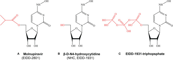 Figure 1