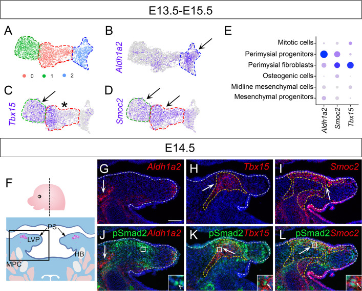 Figure 2—figure supplement 1.