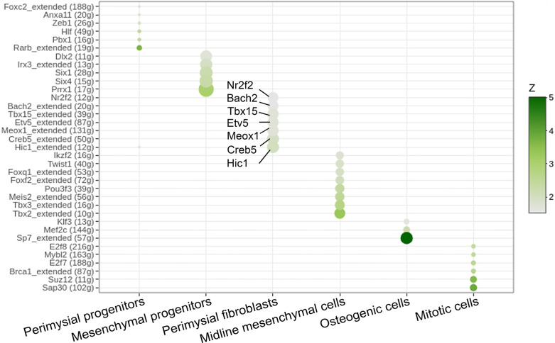 Figure 6—figure supplement 1.