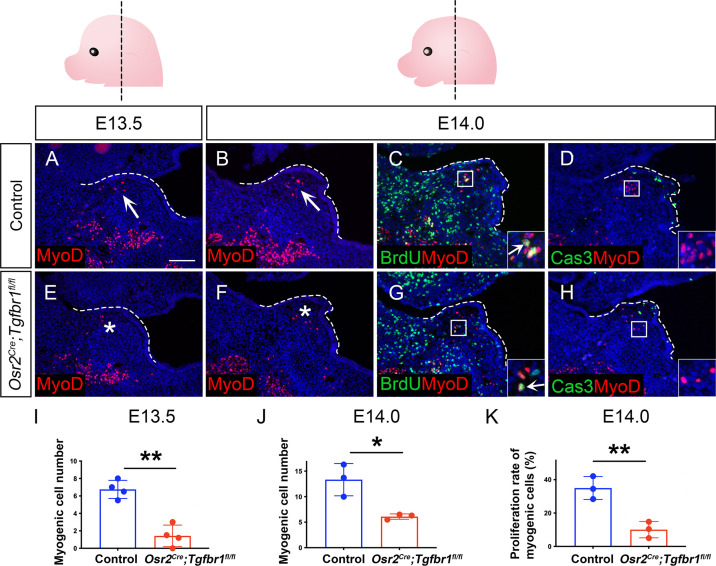 Figure 3—figure supplement 3.