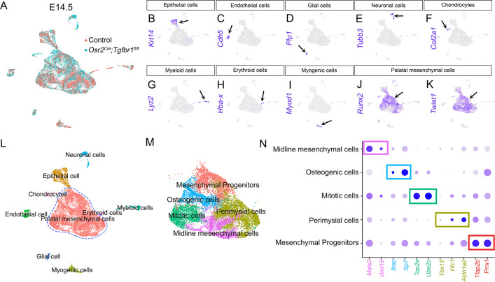 Figure 4—figure supplement 1.