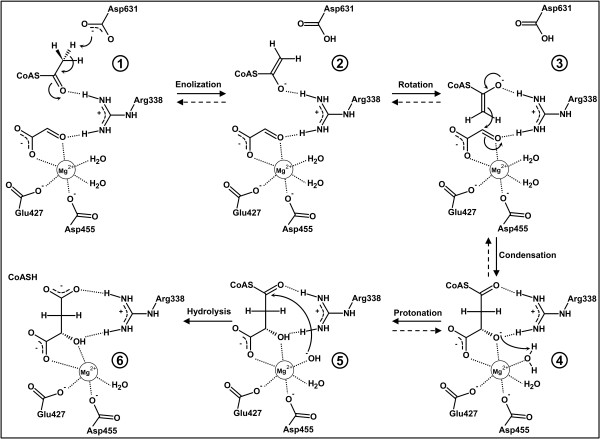 Figure 9