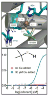 Fig. 24