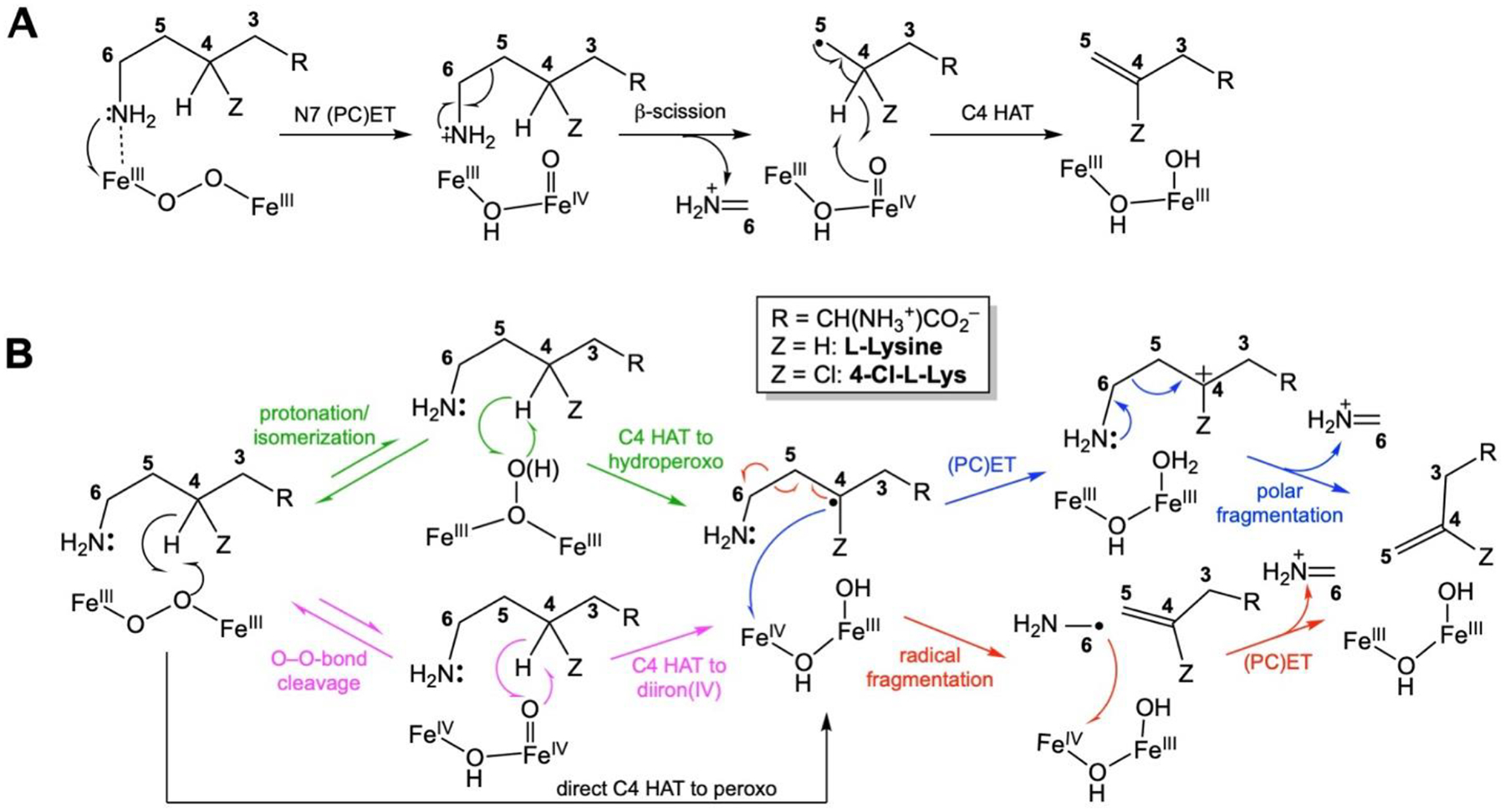 Scheme 2.