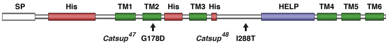 Fig. 2.