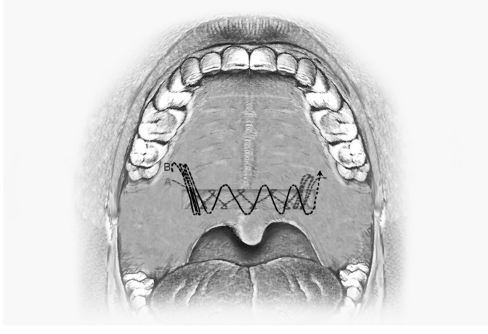 Fig. 4.