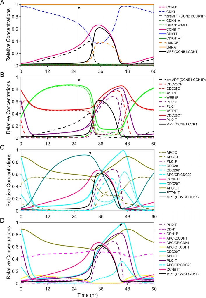 Fig 2