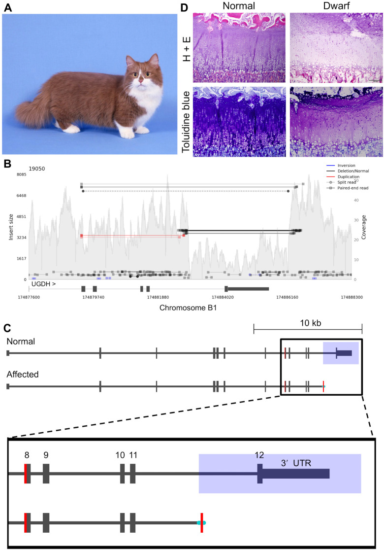 Fig 4