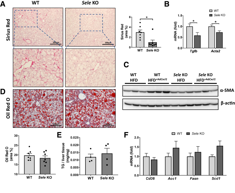 Figure 6