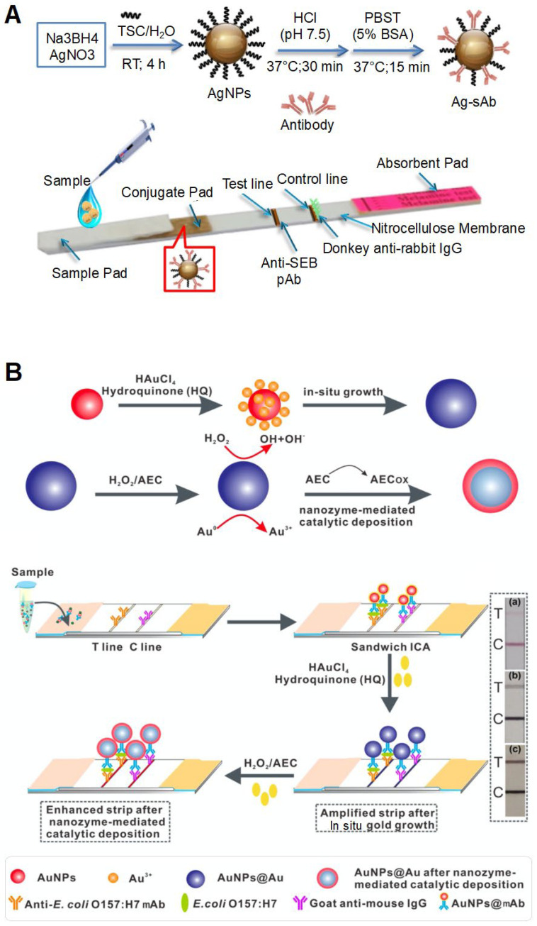 Figure 5