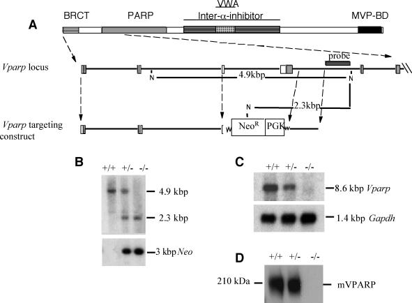 FIG. 2.