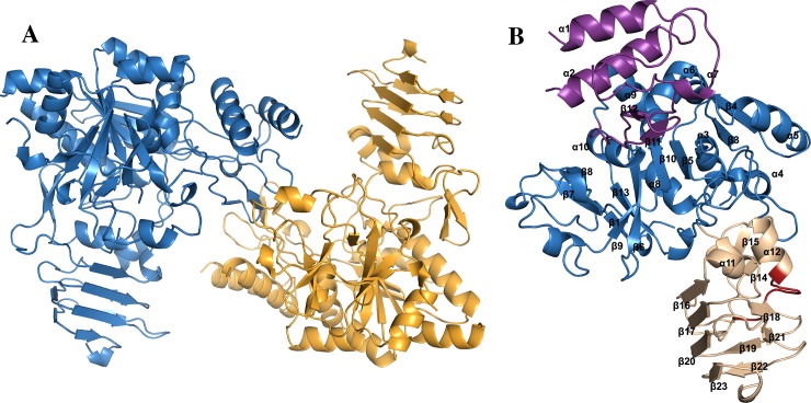 Fig 1