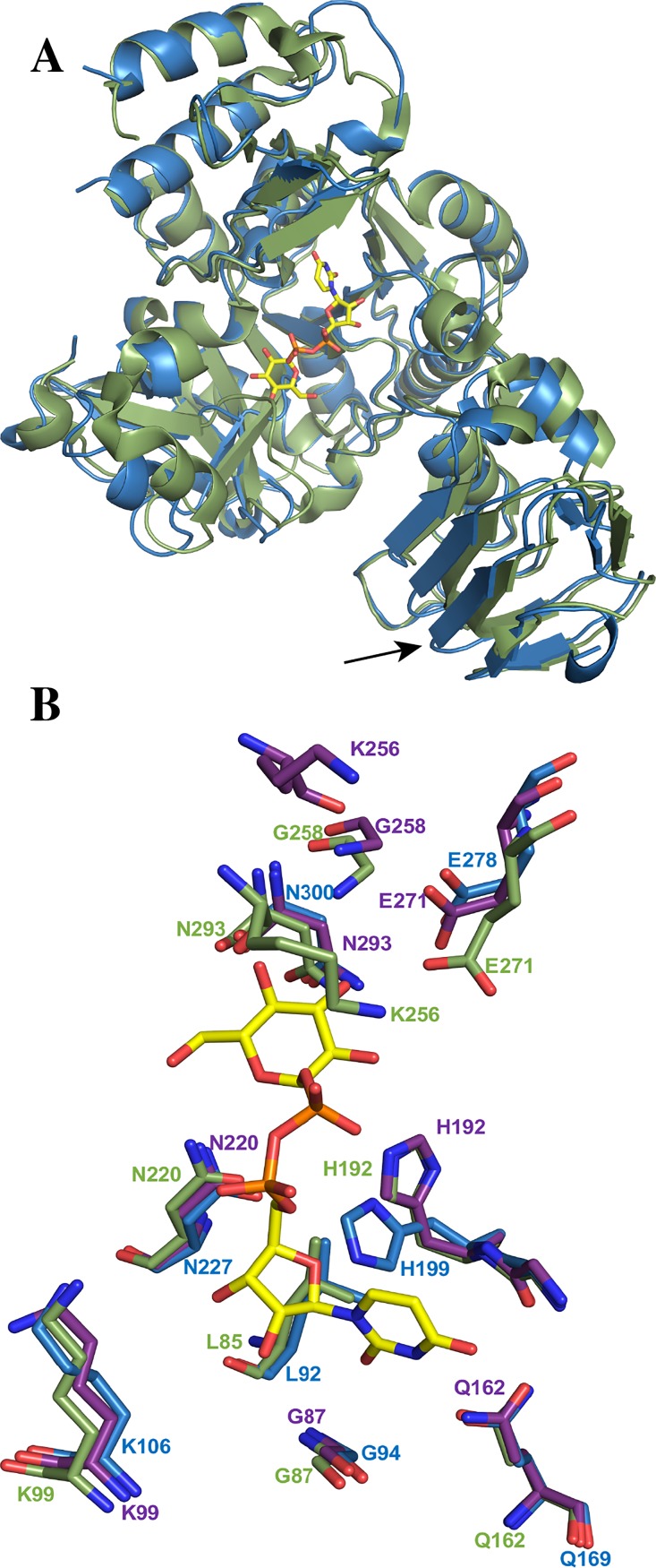 Fig 2