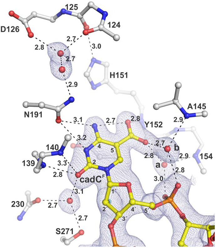 Figure 4.