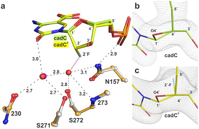 Figure 9.