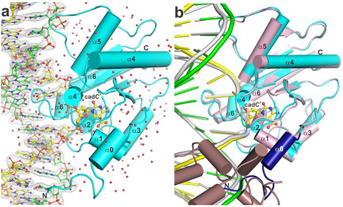 Figure 3.