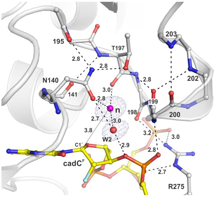 Figure 7.