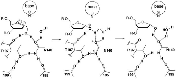 Figure 11.