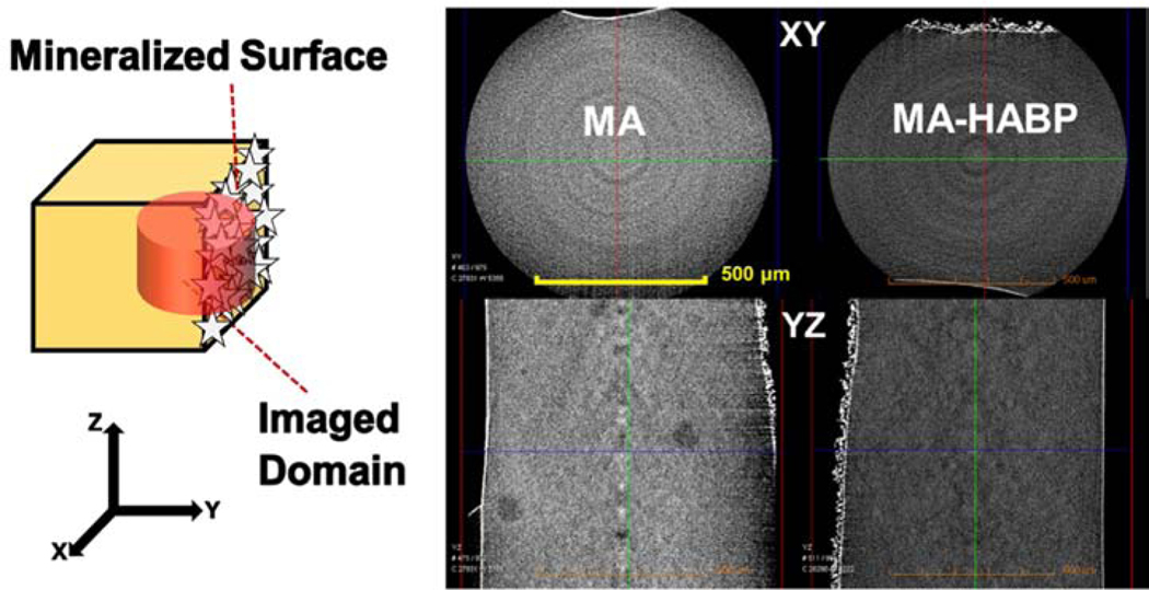 Fig. 8.