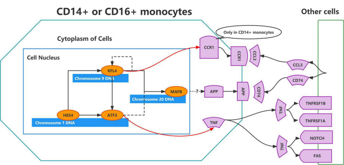 FIGURE 9