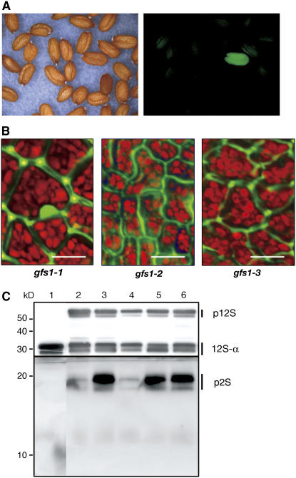 Figure 6.