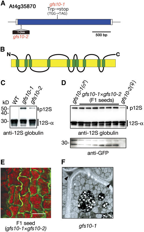 Figure 10.