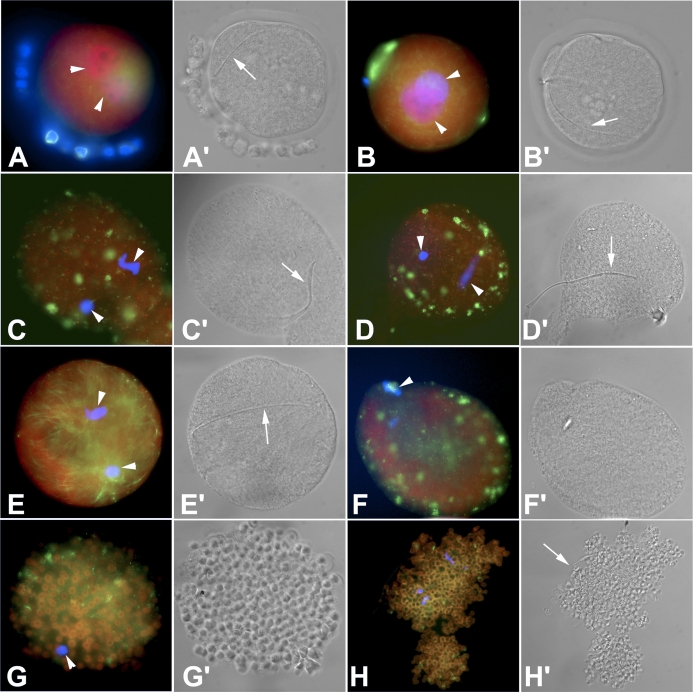 FIG. 3.