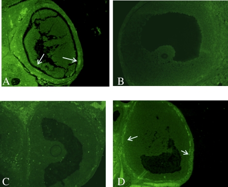 FIG. 5.