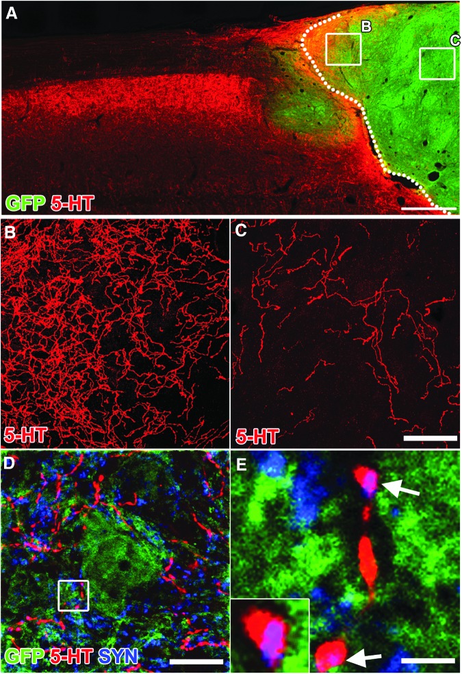 FIG. 9.