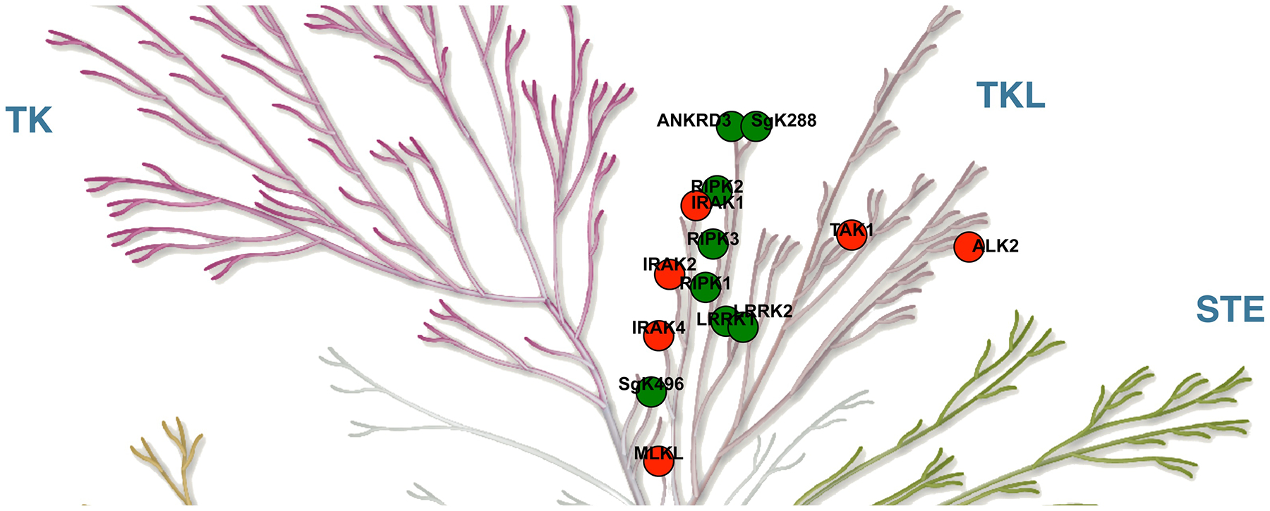 Figure 1.