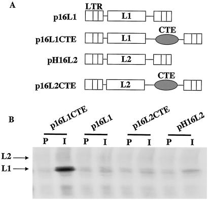 FIG. 8.