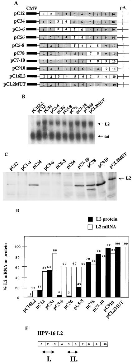 FIG. 6.