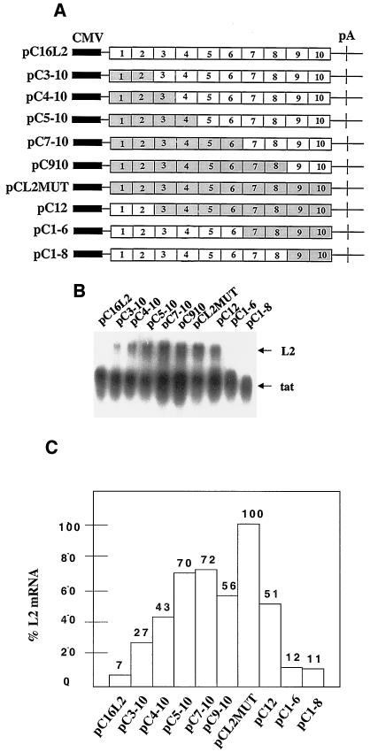 FIG. 5.