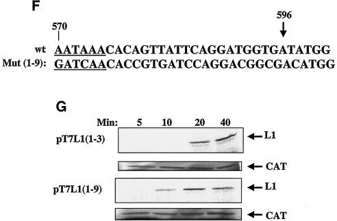 FIG. 7.