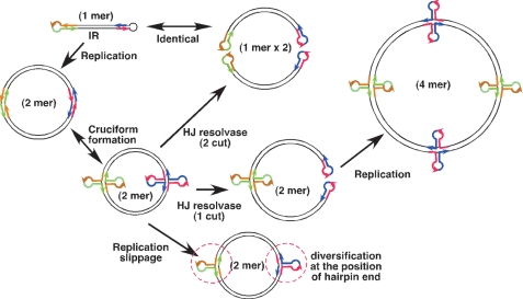 FIGURE 7.