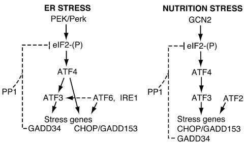 FIG. 10.