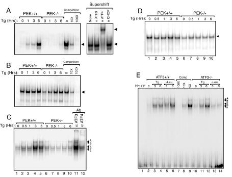 FIG. 9.