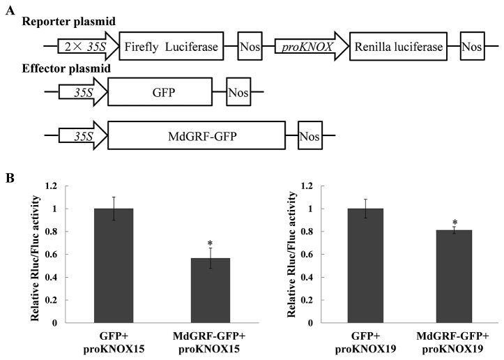 Figure 11