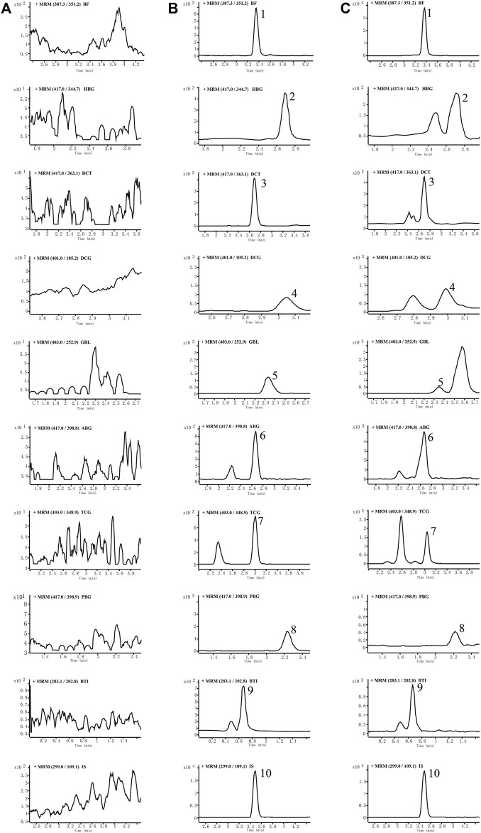 FIGURE 2