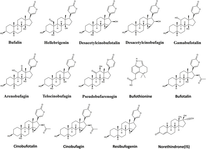 FIGURE 1